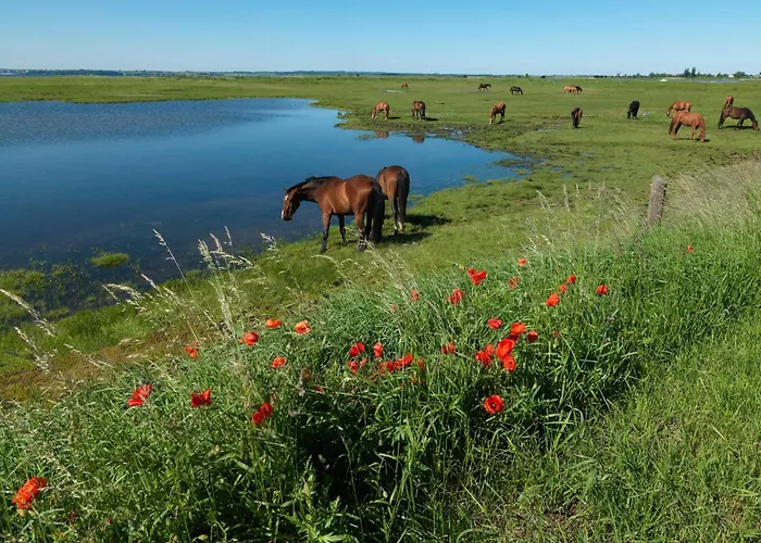 Appartement Kleine Hafenkoje *
