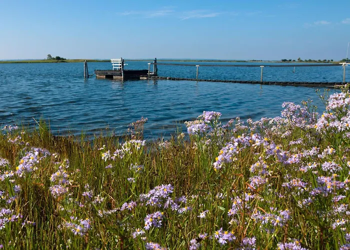 Appartement Kleine Hafenkoje Insel Poel